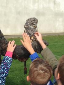 Náhodná fotogalerie