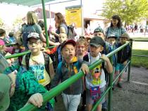 Náhodná fotogalerie