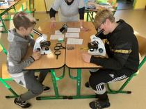 Náhodná fotogalerie