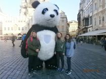 Náhodná fotogalerie